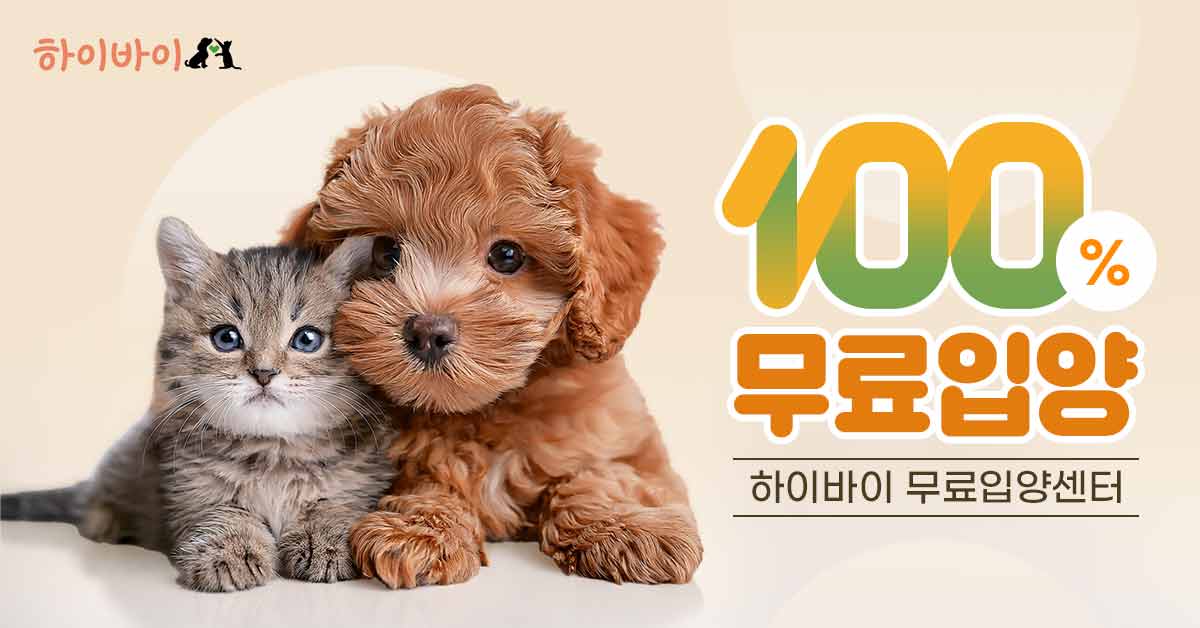 하이바이