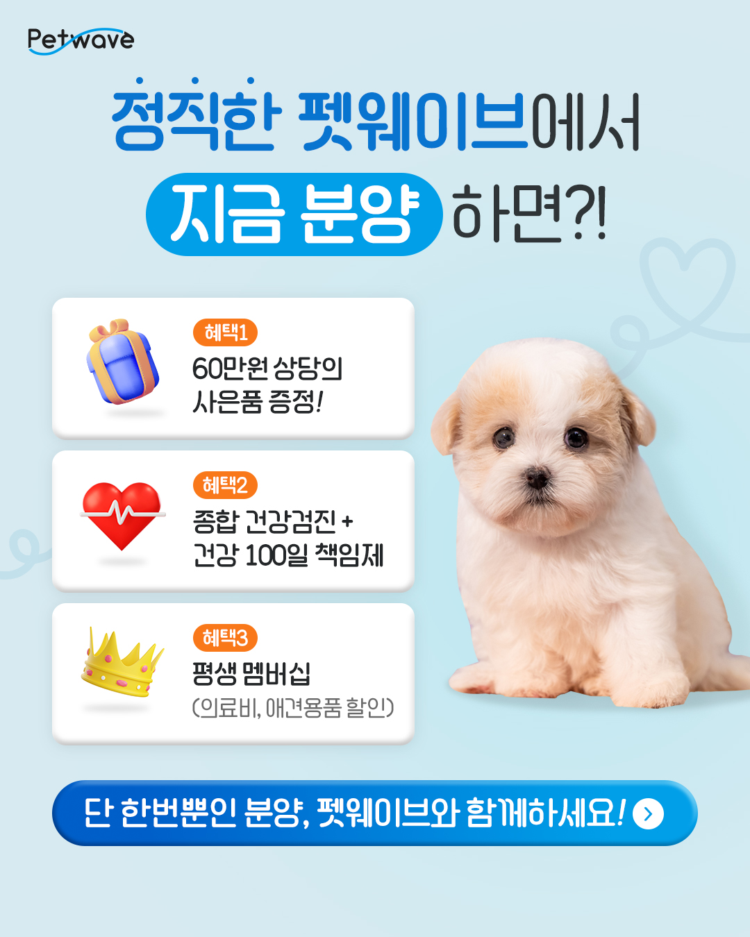 펫웨이브
