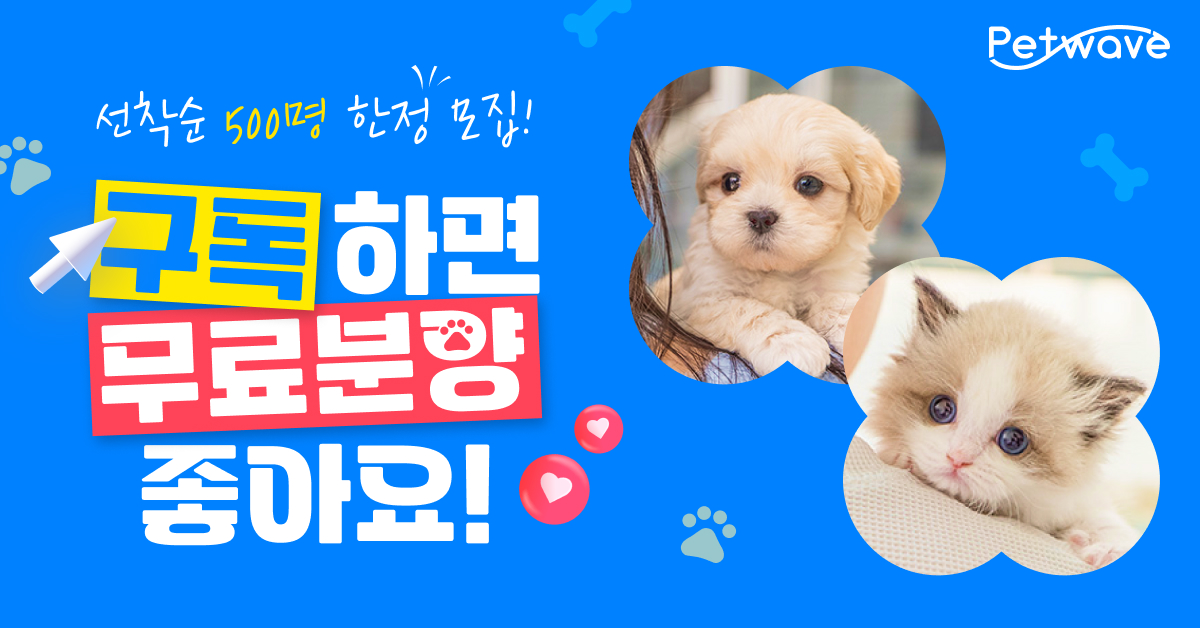 펫웨이브