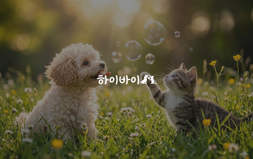 [검색광고] 하이바이분양소 검색광고 대행 이미지
