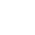 리포트