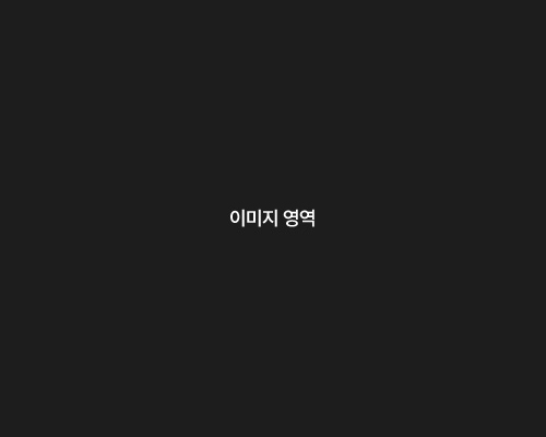 강민우 AE팀 총괄팀장